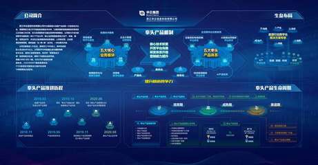 华云集团获评浙江软件核心竞争力企业，彰显国网浙江电力产业单位数字化转型硬实力