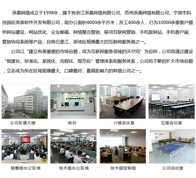 派桑网络 驱动浙江软件创新的数字引擎